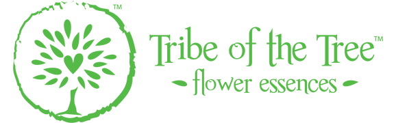 Tribe of the Tree Flower Essences