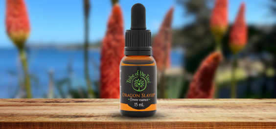 Dragon Slayer Flower Essence to help you find the inner strength and determination to make changes and get things done