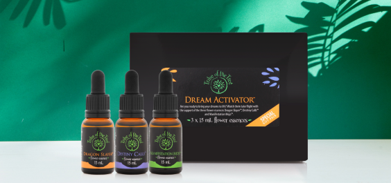 Dream Activator Kit