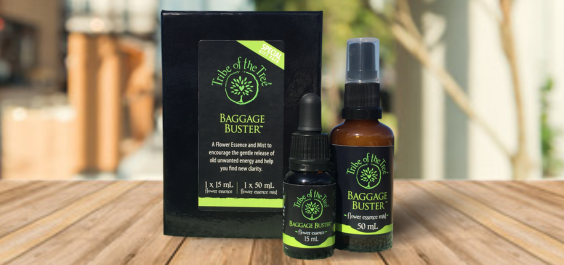 Baggage Buster Kit