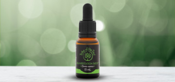 Manifestation Mojo flower remedy - to help you attract what you want into your life