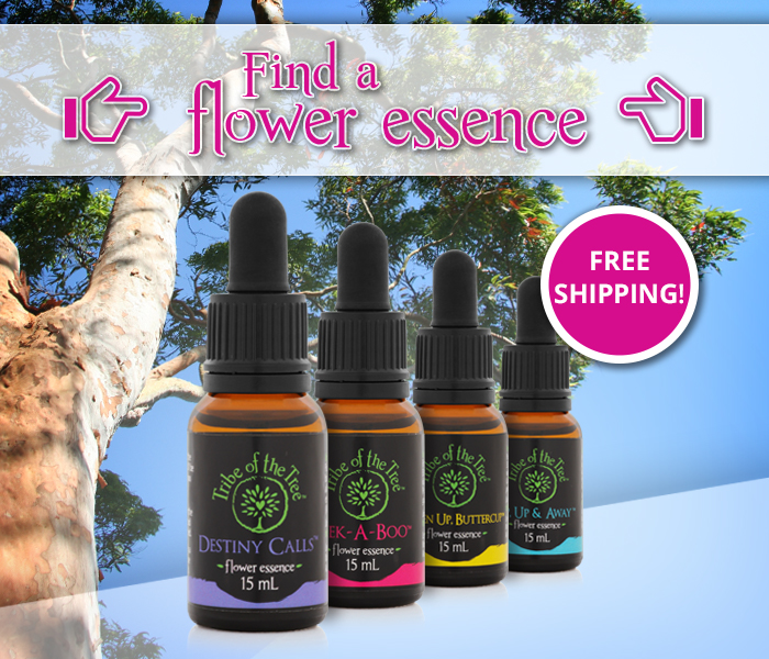 Find a flower essence from Tribe of the Tree