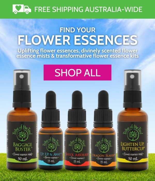 Find a flower essence from Tribe of the Tree